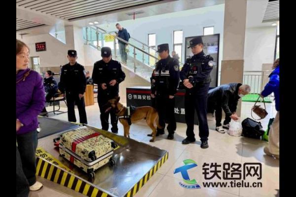 �������ϑ����й������_չ��Ʒ�龃